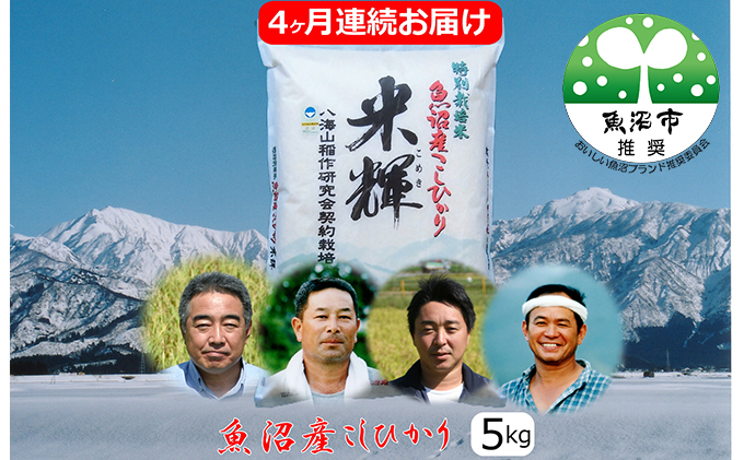 
[№5762-0490]新潟県認証【特別栽培米】魚沼産こしひかり　5kg　4ヶ月連続お届け
