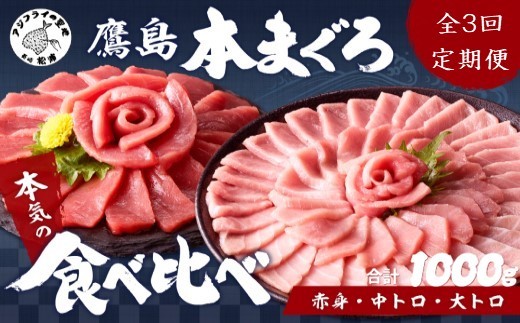 
                  【全3回定期便】鷹島本まぐろ 赤身・中トロ・大トロ合わせて1000g【頒布会】( マグロ まぐろ 赤身 中トロ 大トロ 本まぐろ 手軽 おつまみ 柵 流水解凍 )【K35-002】
                