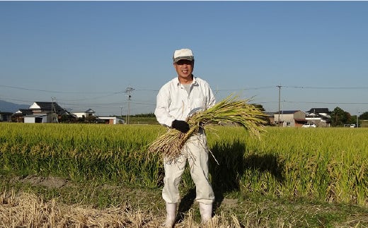 仕入れたお米を全て同じ条件で炊飯、試食致してランク付け、仕分けしております。できるだけ美味しい物から返礼品に出荷致しております。