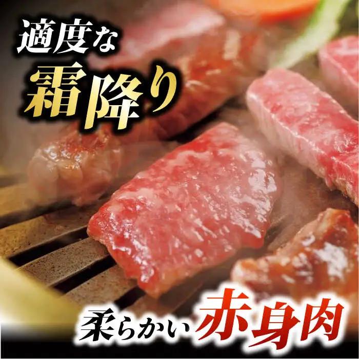 くまもとあか牛 サーロイン ステーキ 約200g(約200g×1)【有限会社スイートサプライなかぞの】[ZBV052]