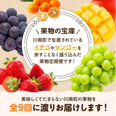 ふるさと納税 川南町 【発送月固定定期便】フルーツ満喫定期便(川南町)全9回 |  | 01