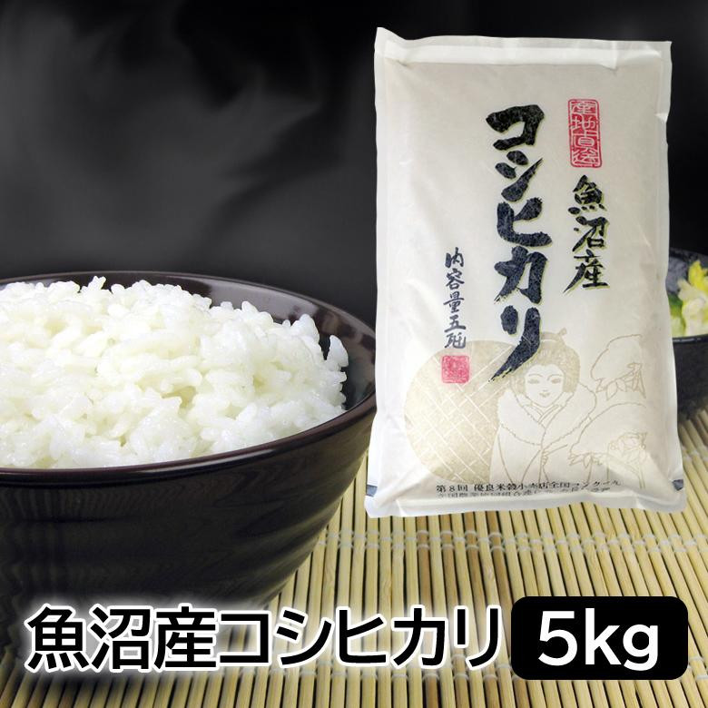 【令和7年産】お米マイスター厳選！魚沼産コシヒカリ　５kg