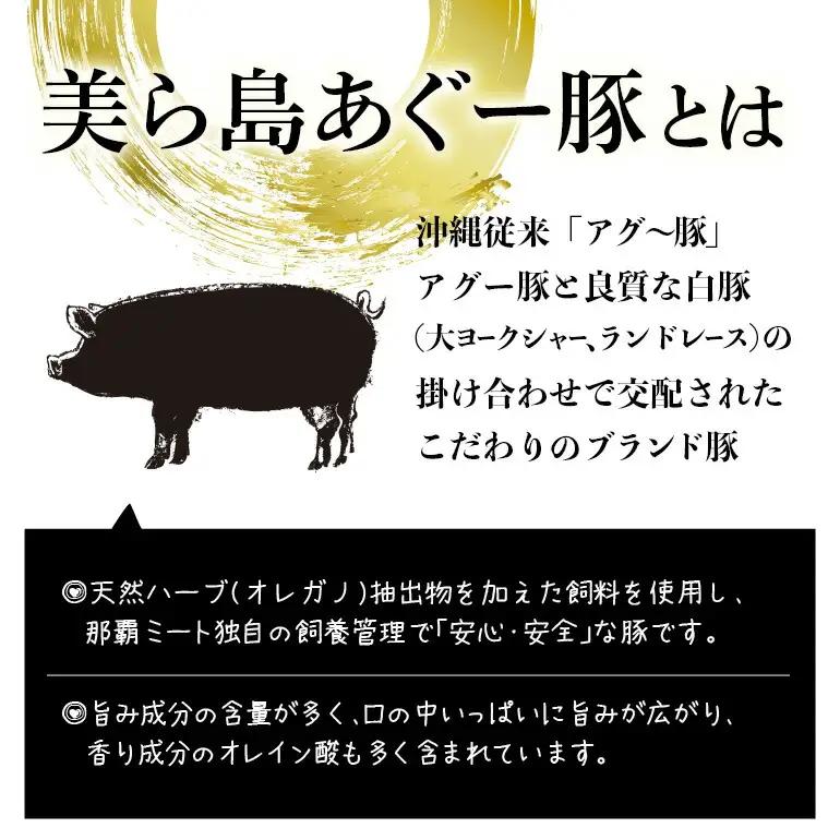 ハンバーグ 16個 セット あぐー 豚肉 61-4