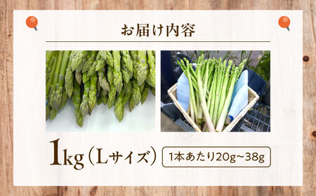 アスパラガス 1kg [BAHB001] アスパラガス 