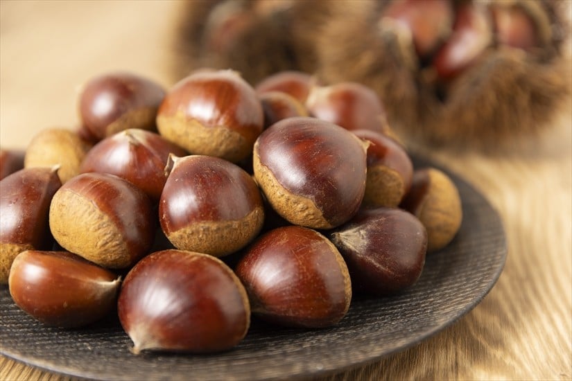 
吟撰・熟成丹波栗　２袋セット
