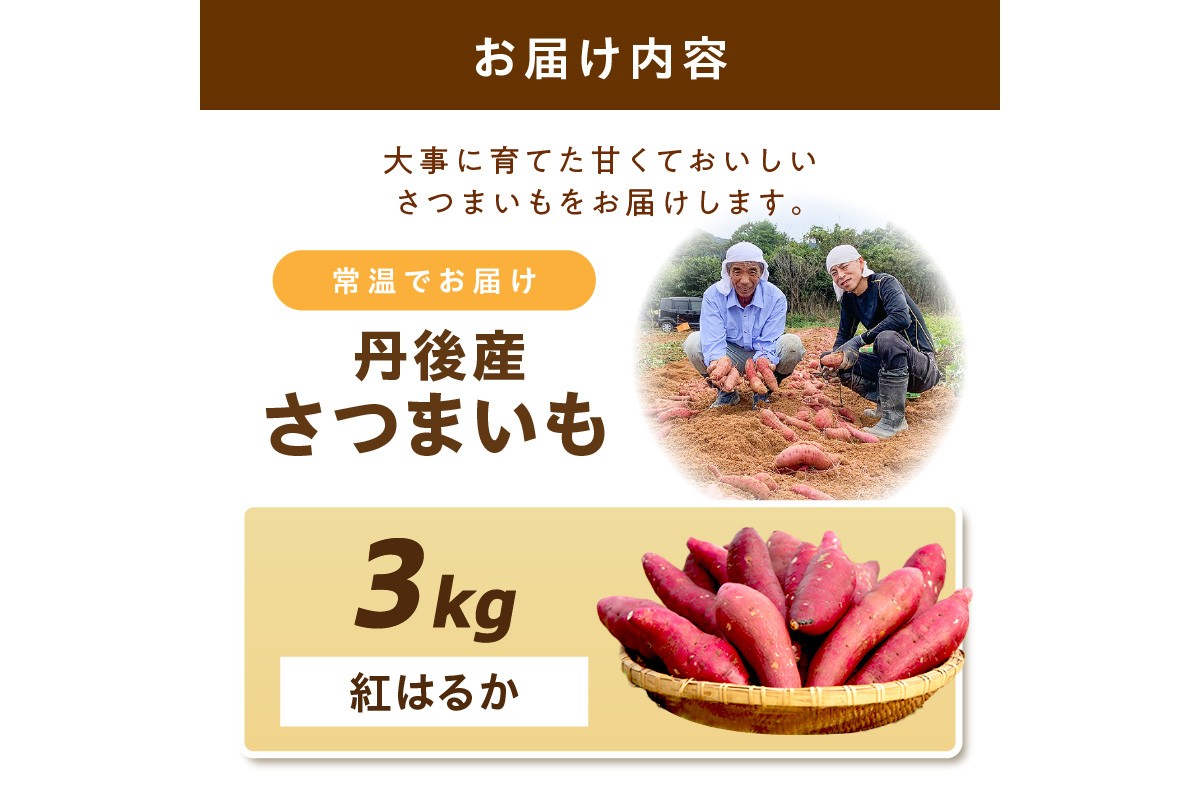 丹後産　さつまいも　紅はるか3kg　2025年3月下旬～配送　AM00666_04