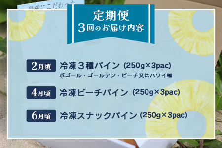 石垣島冷凍パイナップル6回定期便 EF-12