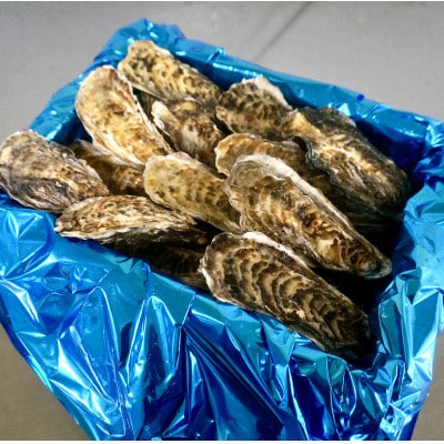 【先行受付】北海道 仙鳳趾名産 牡蠣 100～149g×30個+かきナイフ付K3-2【配送不可地域：離島・沖縄県・信越、北陸・東海・近畿・中国・四国・九州】