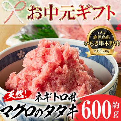 ふるさと納税 いちき串木野市 【令和7年お中元対応】ネギトロ用マグロのタタキ 600g(200g×3袋) 天然キハダ・メバチ使用