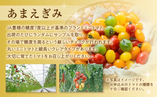 【先行予約】農業王国豊橋の『フルーツトマト　あまえぎみ（オレンジ、グリーン）とクレア（レッド、オレンジ、イエロー）の５色MIX』１kgバラ