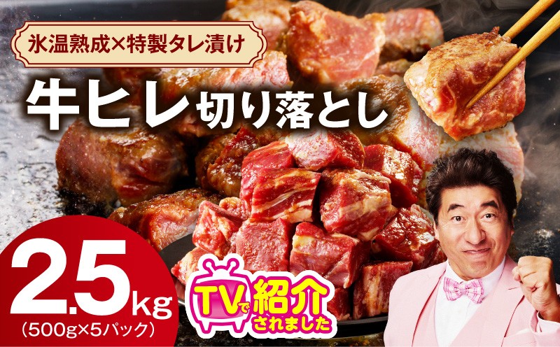 
                  【スピード発送】やわらか 牛ヒレ肉 切り落とし 2.5kg【小分け 500g×5P 氷温熟成×特製ダレ サイズ不揃い ステーキ ひと口サイズ カット済み】
                