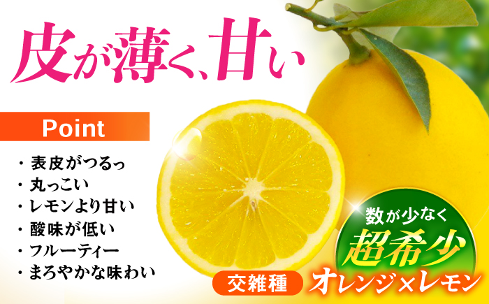 ※【2025年11月中旬より順次発送／先行予約】【贈答用】マイヤーレモン 5kg / レモン れもん 檸檬 果汁 柑橘 フルーツ ふるーつ 果物 くだもの / 諫早市 / 山野果樹園 [AHCF014