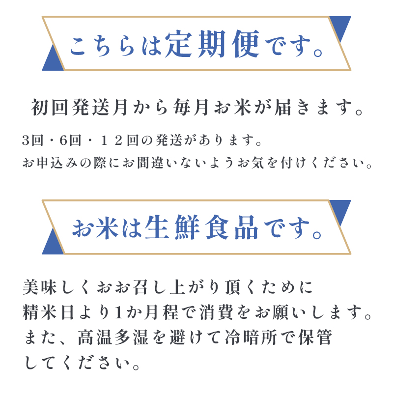 【定期便】特別栽培米 コシヒカリ 丹の国穂まれ 精米 5kg×6回 令和6年度産 新米 30kg 半年定期便 白米 お米 ご飯 米 農協 JA 京都府 舞鶴市