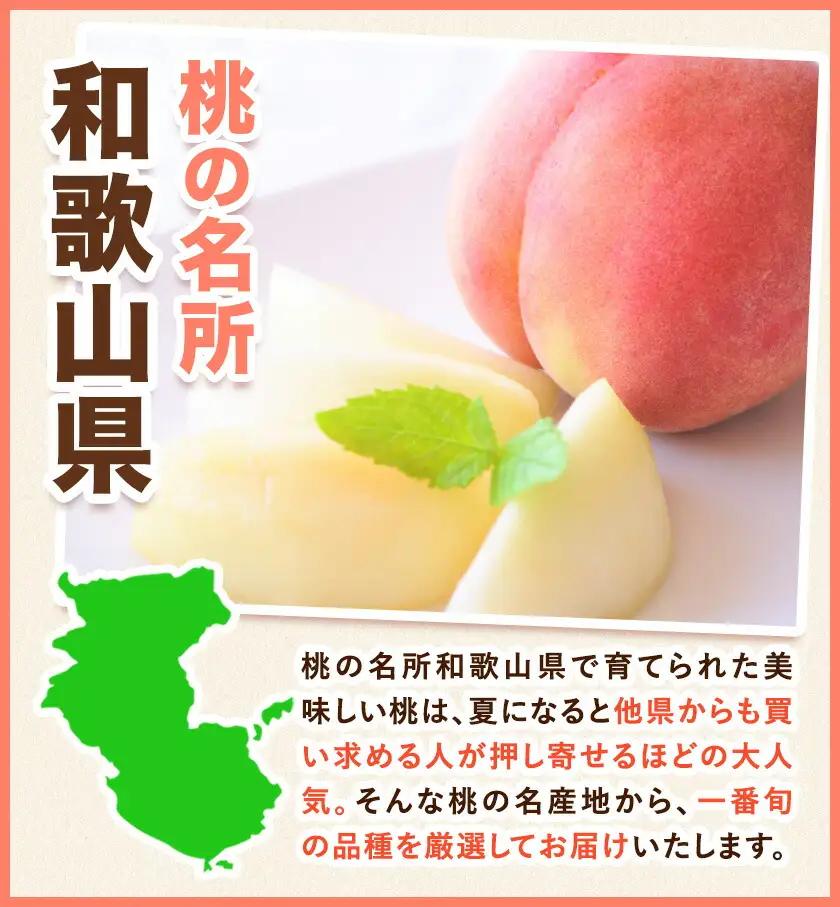 桃 紀の里の桃 約2kg