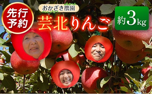
                  ≪10月中旬以降発送≫りんご 国産 3kg 農家直送 おかざき農園 芸北りんご 林檎 秋映 陽光 ぐんま名月 あいかの香り ふじ_OK097_001
                