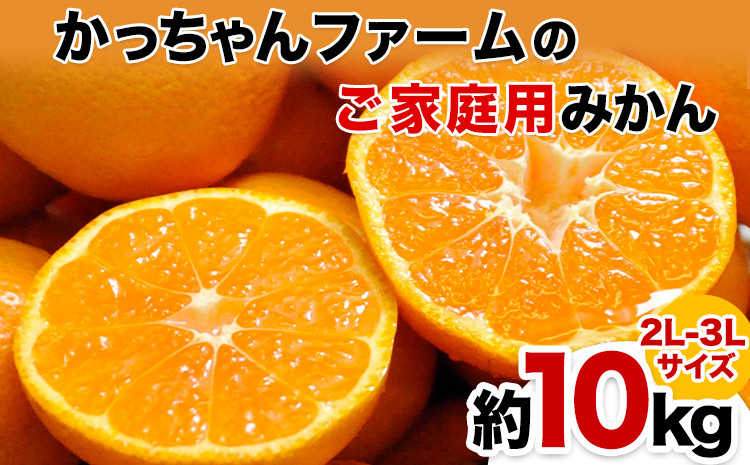 
            ご家庭用『かっちゃんファーム』のご家庭用みかん★ 約10kg【2L以上サイズ】 自然本来のおいしさ！《11月末から1月中旬頃出荷》
          