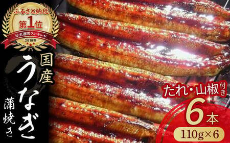 うなぎ蒲焼き（6本セット） うなぎ うなぎ蒲焼 高知うなぎ 国産うなぎ うな重 鰻 国産鰻 高知鰻 冷凍鰻 鰻蒲焼 四万十うなぎ 土用の丑の日 ／Esu-125