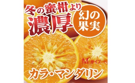 カラマンダリン 石本果樹園 カラ・マンダリン 約3kg 約20～25玉前後【min007B】