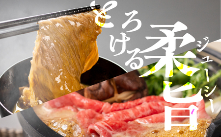 飛騨牛 すき焼き赤身300g JAひだ すき焼き [AH007]