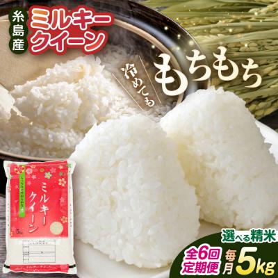 ふるさと納税 糸島市 【全6回定期便】 ミルキークイーン5kg【玄米・精米専門店 新飼宗一郎商店】[ADE005]