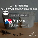 【ふるさと納税】パナマ ゲイシャ　100g×2（粉） | 兵庫県 丹波篠山市