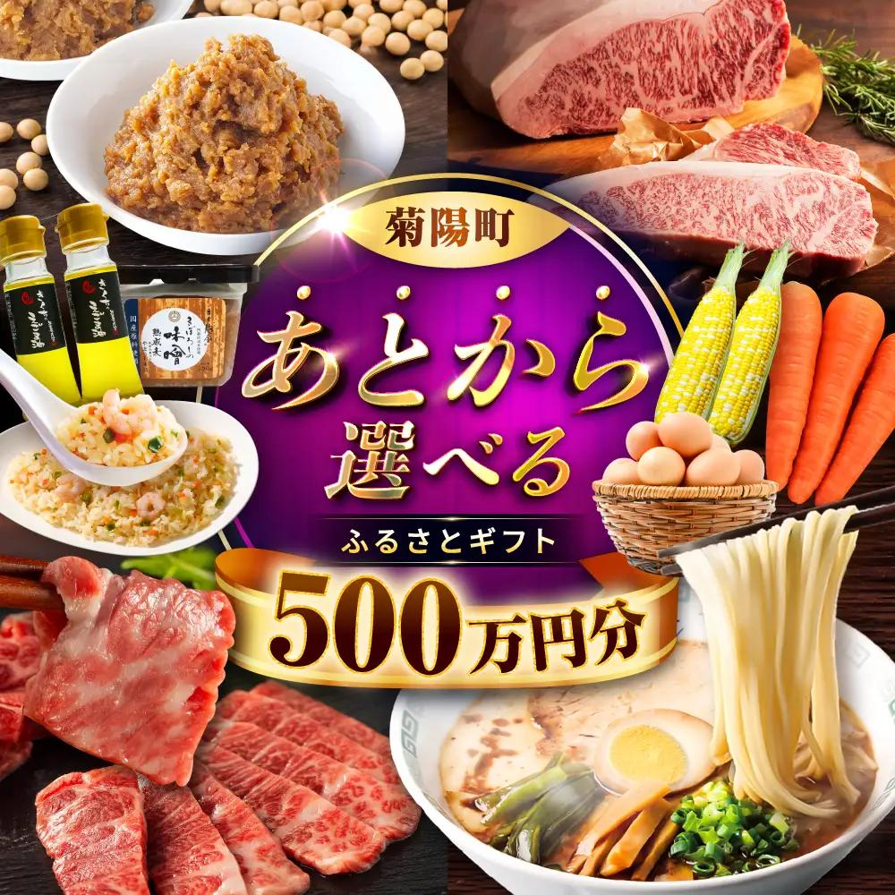 【 あとから選べる 】菊陽町 ふるさと ギフト 500万円分 あとから あとから BHZY015