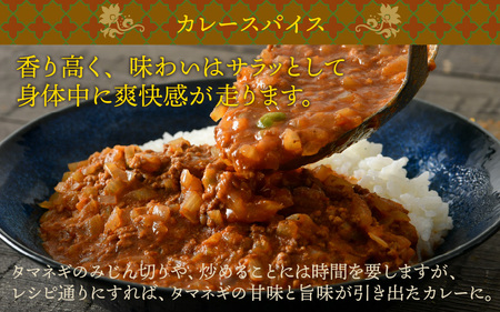 【アレルゲンフリー】ハーブ講師が作る 教室で人気のカレースパイスセット （5食分 × 1箱） & 炊込みドライカレー （2食分 × 1箱） [A-13005]