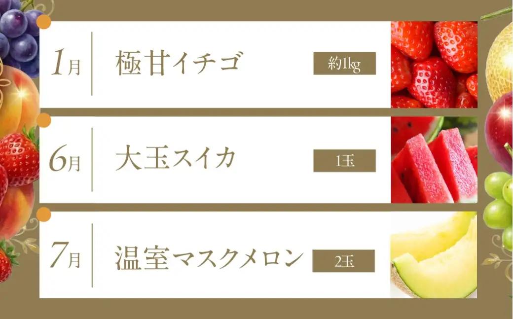 フルーツ定期便 6回 プレミアム 果物 どうまい