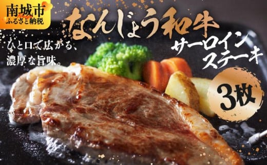 なんじょう和牛サーロインステーキ 約150～200g×3枚【TM02】