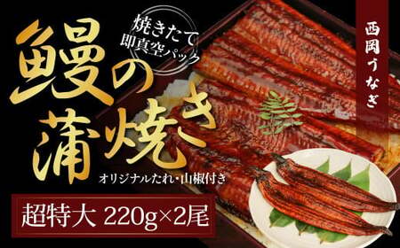 ～超特大サイズ～うなぎの蒲焼き2尾セット（約440g）タレ山椒付き