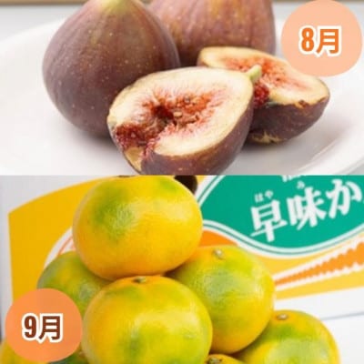 【発送月固定定期便】旬の福岡フルーツ　あまおう・とよみつひめ・早味みかん・秋王・甘うぃ(宇美)全5回【配送不可地域：離島・北海道・沖縄県・東北】