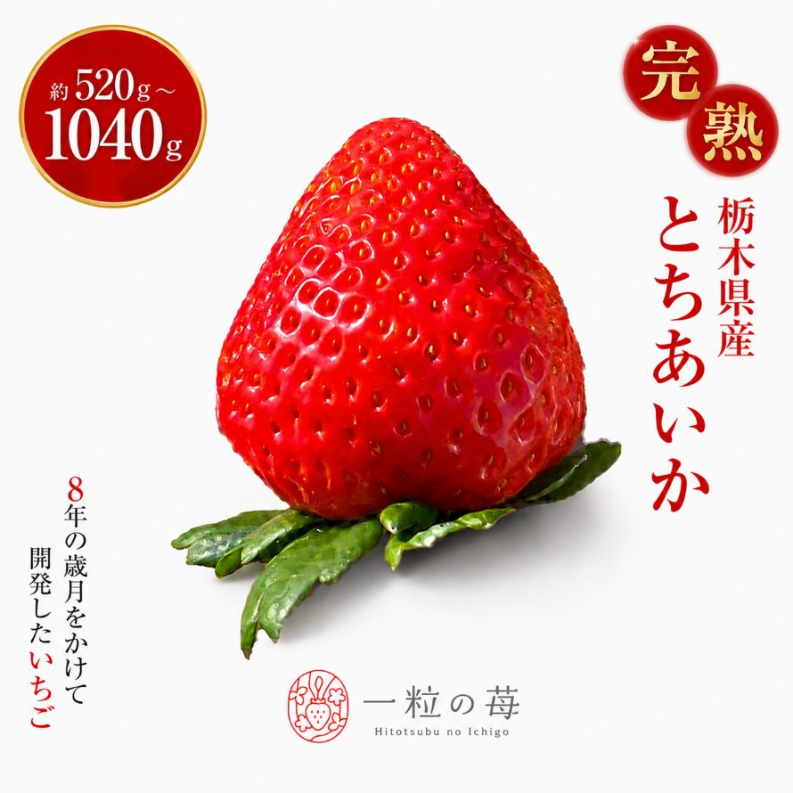 【ふるさと納税】いちご とちあいか【先行予約】選べる 520g 1040g | 栃木県 真岡市 苺 イチゴ 朝採れ 完熟 高糖度 ブランド 産地直送 フルーツ 冬 ギフト 贈答 ご褒美 人気 日本一 ストロベリー 送料無料 【2027年1月から順次発送】