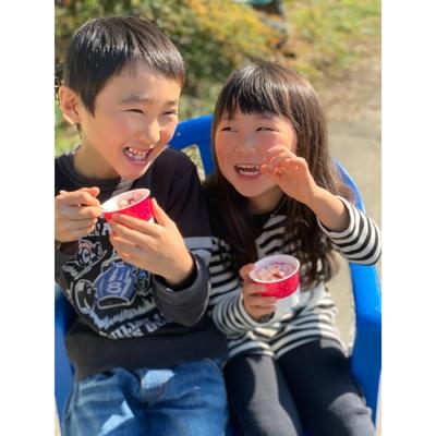 ふるさと納税 宇土市 熊本県宇土産 完熟冷凍いちご「ぷち苺・さら苺」4x4カップ in くまモン 練乳付き 園村苺園 |  | 03