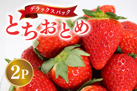 【2026年先行予約】デラックスパック とちおとめ 2p いちご イチゴ 苺 果物 フルーツ くだもの 茨城県 石岡市 A32-020