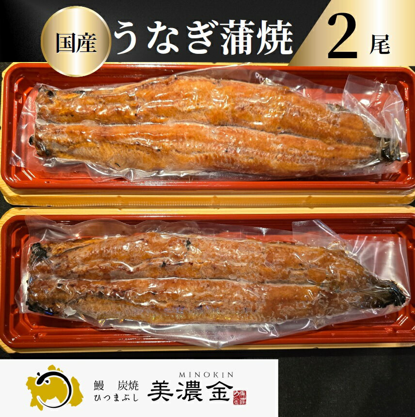 【ふるさと納税】 美濃金　神田本店　炭焼　国産うなぎ蒲焼2尾　土用の丑の日