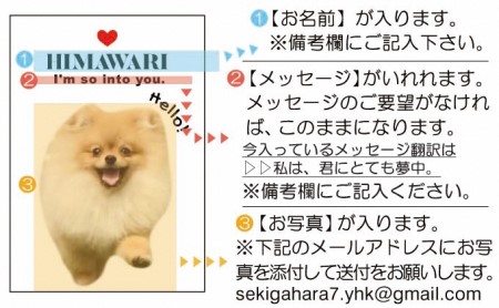 ペットの可愛いお写真をキーホルダーに♪うちの子アクリルキーホルダー（デザインA） 【B】ピンク