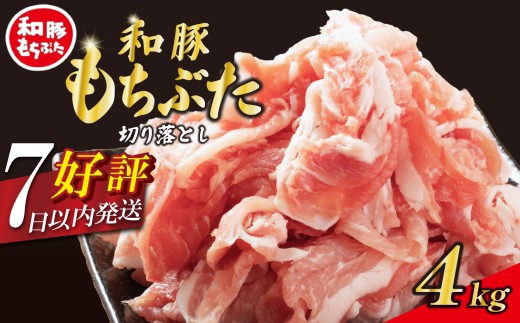 豚肉 切り落とし 和豚 もちぶた 小間切れ 4kg ブランド豚 和豚もちぶた ブランド 美味しい豚 豚肉 肉 にく 肉料理 夕食 晩ごはん ポーク おかず 小分け 便利 肉の片山 新潟県 新発田市 katayama006