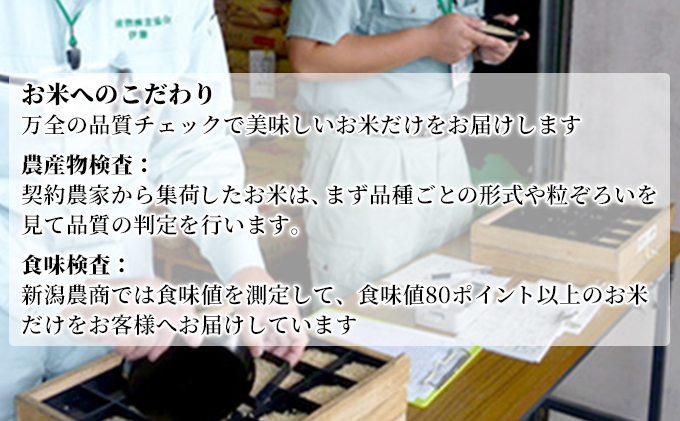 【先行予約】R8年産新潟産コシヒカリ精米5kg×2　全6回 お米 