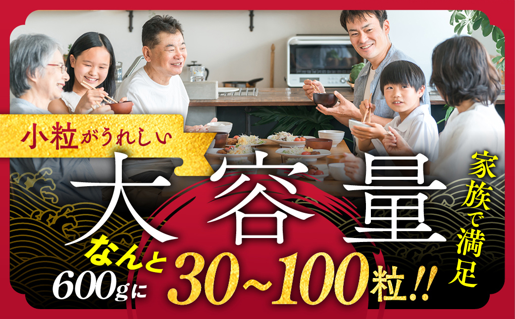14-256 【訳あり】北海道オホーツク産ホタテ貝柱(生食用)小粒大入 600g ｜ サイズ不揃い ワケアリ 訳あり ほたて ホタテ 帆立 貝柱 玉冷 600g