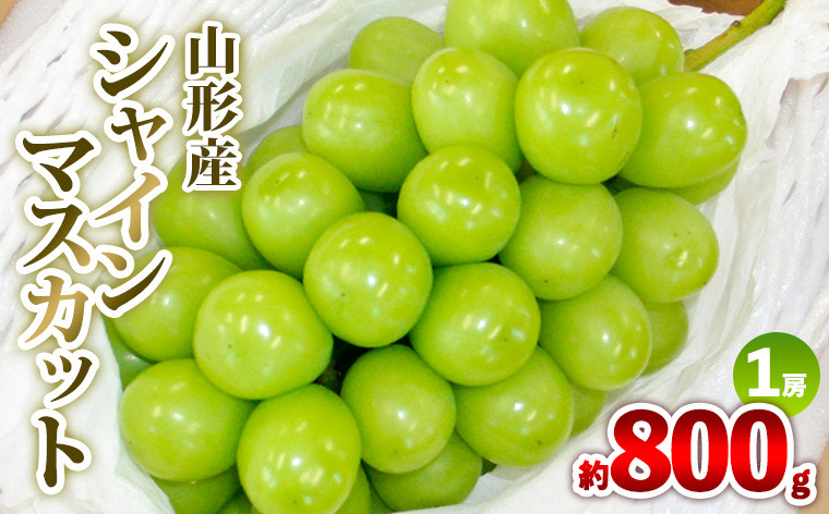 
                  山形産 シャインマスカット 約800g 1房 秀品 【令和8年産先行予約】FS25-607 くだもの 果物 フルーツ 山形 山形県 山形市 2026年産
                