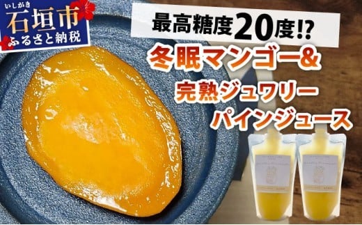 
            《8月以降順次発送》最高糖度20度！？冬眠マンゴーと完熟ジュワリーパインジュース
          