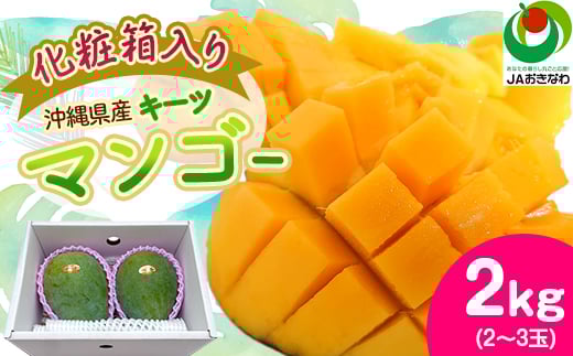 ＜2025年発送・化粧箱＞キーツマンゴー2.0kg(2～3玉)_ マンゴー フルーツ 果物 くだもの キーツマンゴー 人気 おすすめ 送料無料 贈答 ギフト プレゼント 化粧箱 完熟 沖縄県 常温 【1494471】