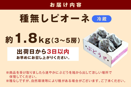 【2026年発送分 先行予約】種無しピオーネ 約1.8kg 3～5房《8月下旬頃から発送》果物 ピオーネ ぶどう 先行予約 【183_1884】