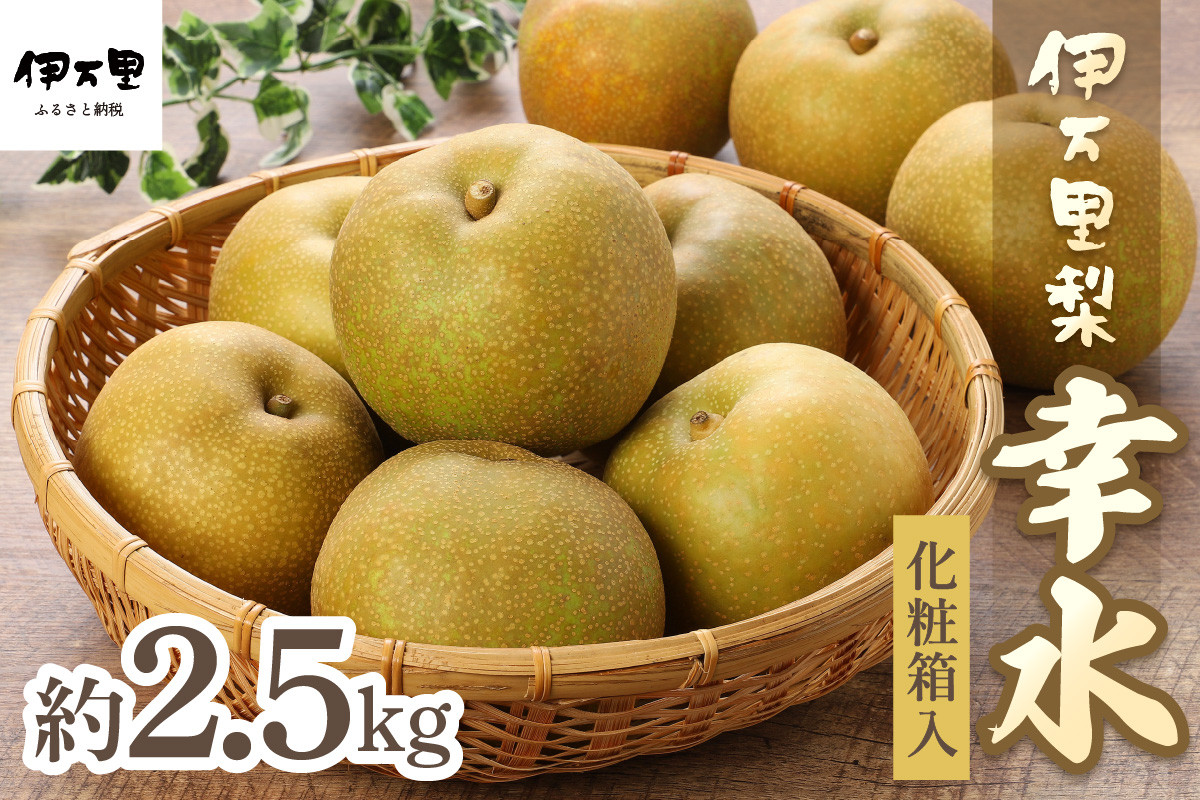 
【2025年産先行予約】伊万里梨「幸水」化粧箱入 約2.5kg B159
