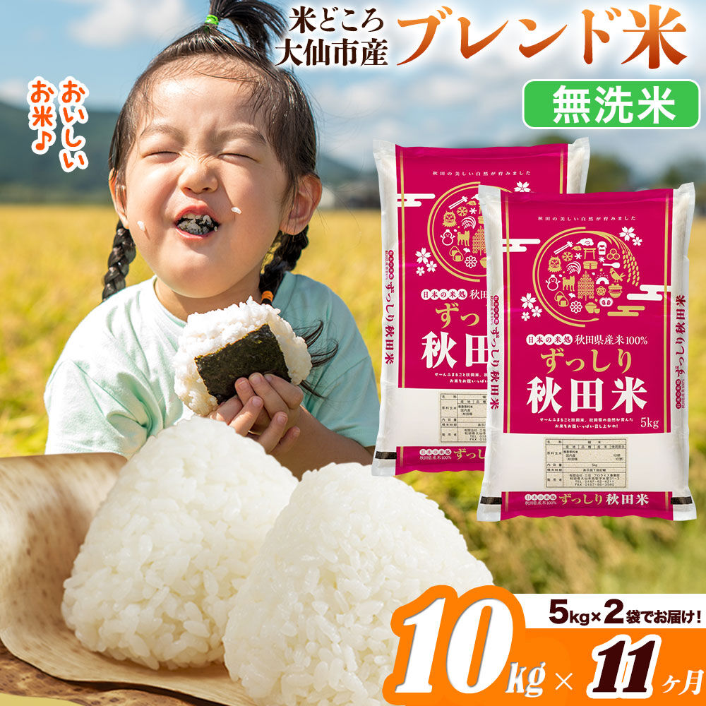 米《定期便11ヶ月》米どころ 秋田県大仙市産 ブレンド米【無洗米】10kg（5kg×2袋）