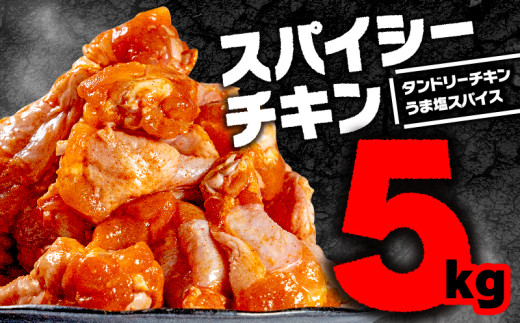 スパイシーチキン 5kg (2.5kg×2種食べ比べ) タンドリーチキン味 うま塩スパイス味 2種 食べ比べ セット 鶏 チキン 肉 にく 鶏肉 とり肉 鳥 小分け 便利 簡単調理 骨付き 手羽 手羽元 お酒 酒 さけ ビール おつまみ おかず お惣菜 惣菜 お弁当 塩 タンドリーチキン スパイス 弁当 贅沢 ランキング 冷凍 味付け グルメ 京都府 木津川市 京都 ふるさと納税