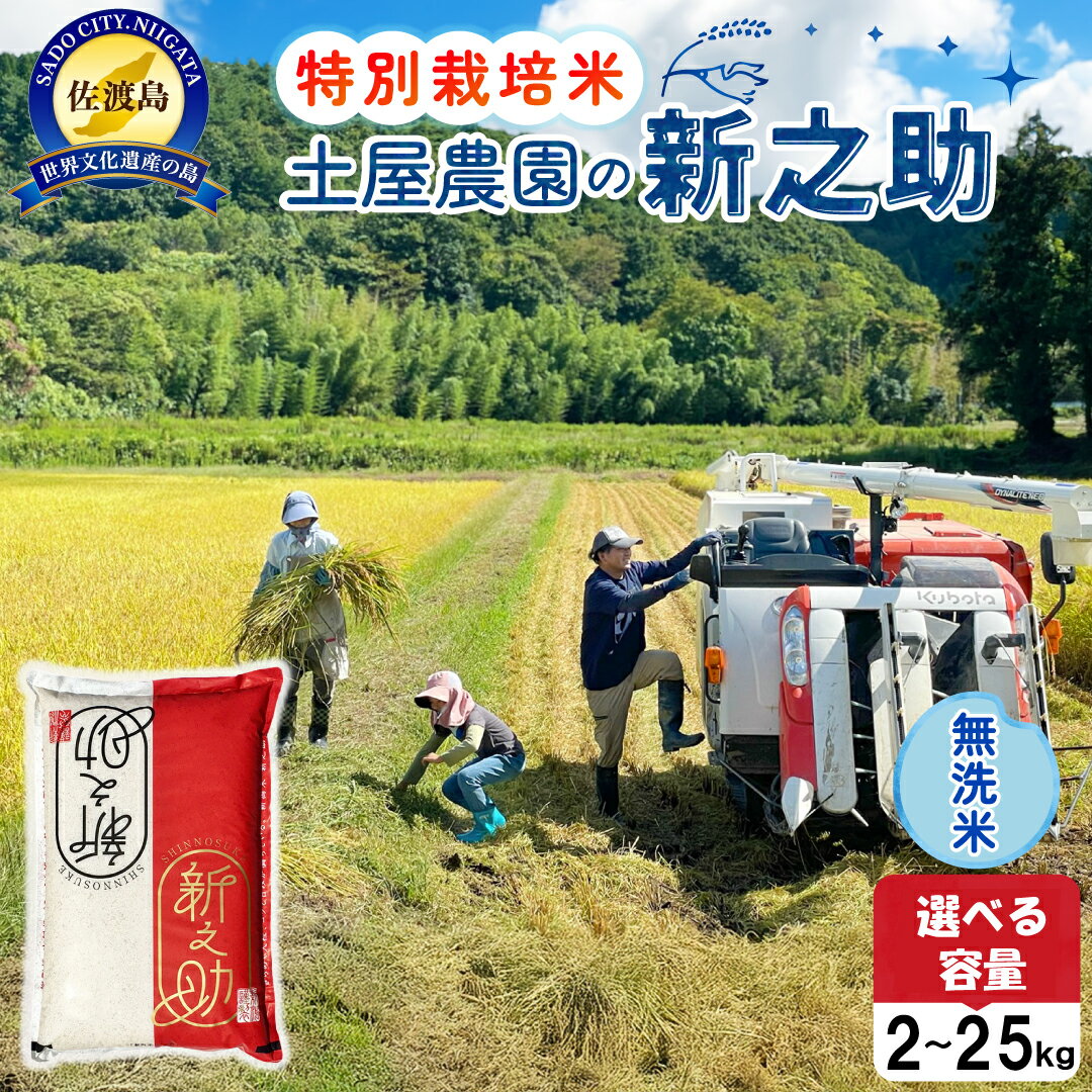 【ふるさと納税】佐渡島産新之助 無洗米 選べる容量 2kg 5kg 10kg 15kg 20kg 25kg 土屋農園 特別栽培米 令和7年産【食の宝島佐渡】