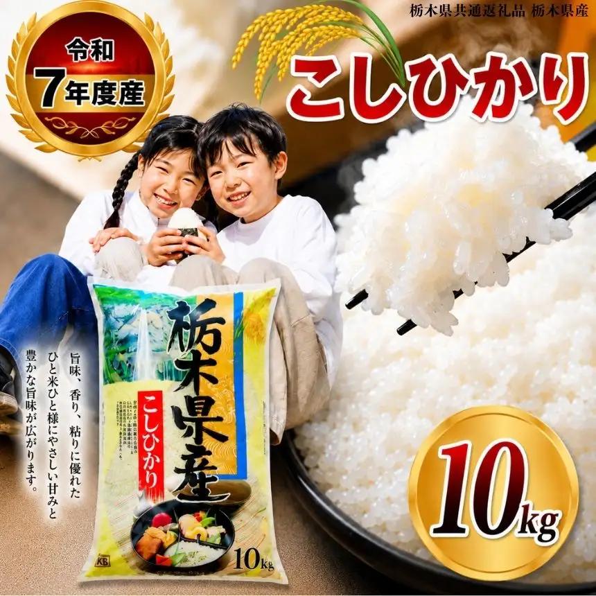 【栃木県共通返礼品】令和7年度産 栃木県産 こしひかり 10kg （5kg×2袋） | ふるさと 納税 コシヒカリ お米 精米 白米 玄米 大粒 共通返礼品 送料無料 那珂川町 栃木県