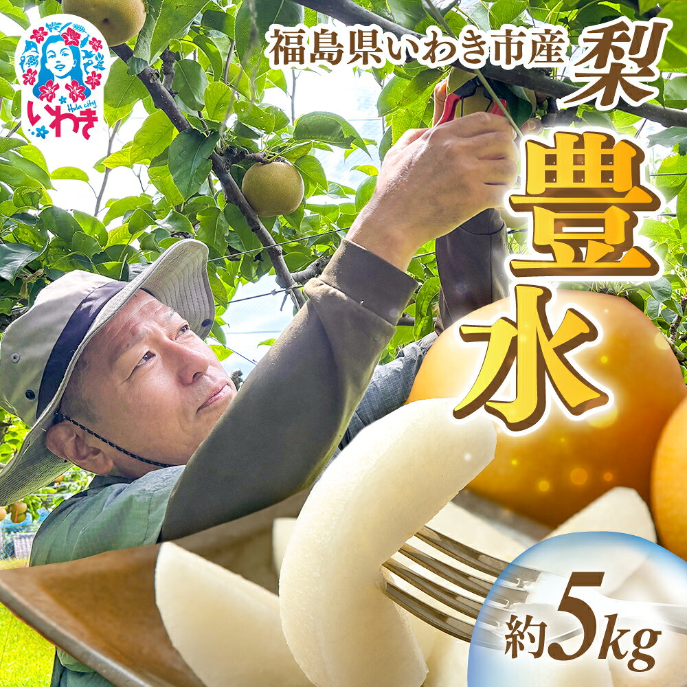 【ふるさと納税】【先行予約】福島県いわき市産 梨(豊水) 約5kg | 梨 豊水 いわき市産 岡田梨園 約5kg 先行予約 期間限定 果物 フルーツ 和梨 国産 新鮮 産地直送 甘い 濃厚果汁 ジューシー 瑞々しい シャキシャキ 数量限定 送料無料 フレッシュ 季節限定 | ON002