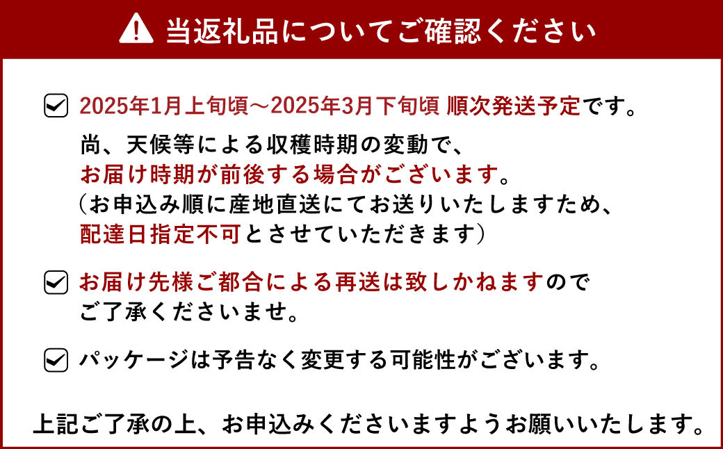 【選べる発送月】糖度14度以上保証 ブランド苺「極幸乃香(きわみさちのか)」600g【園村苺園】